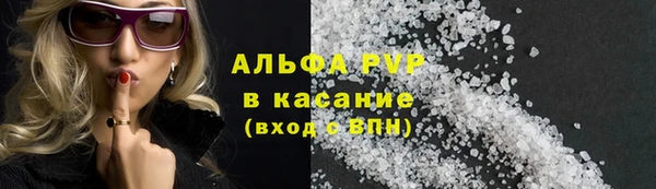 ПСИЛОЦИБИНОВЫЕ ГРИБЫ Инта