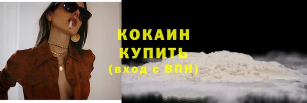 ПСИЛОЦИБИНОВЫЕ ГРИБЫ Инта