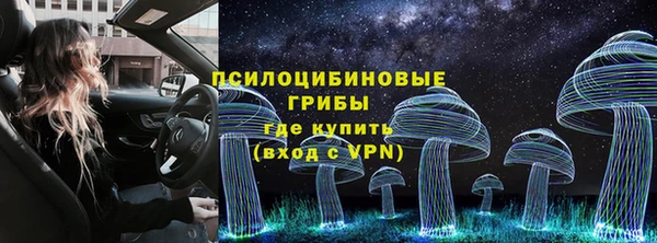 марки lsd Инсар
