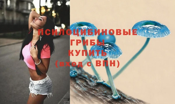 ПСИЛОЦИБИНОВЫЕ ГРИБЫ Инта
