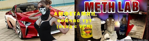 ПСИЛОЦИБИНОВЫЕ ГРИБЫ Инта