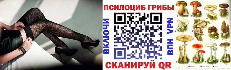Галлюциногенные грибы MAGIC MUSHROOMS  Купить где  Лермонтов 