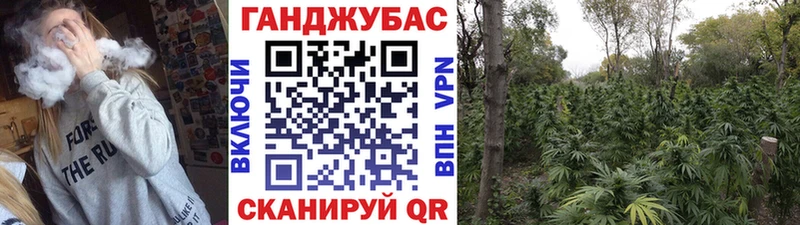 МАРИХУАНА гибрид  Купить где  Лермонтов 